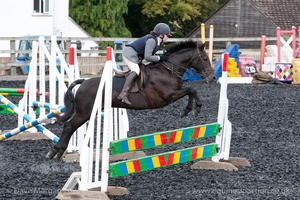 Class 5 - Fences not above 2'6